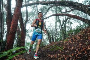 BIB: 
                            <button type="button" onclick="openModal(26343779)" class="btn btn-primary btn-sm float-right btn-popup" data-toggle="modal" data-target=".modal-high-quality">
                        <i class="fas fa-shopping-cart"></i> Add to Cart
                    </button>
                                            <button type="button" onclick="isThisMe(26343779, true)" class="btn btn-success btn-sm float-right btn-popup btn-isme hidden" data-toggle="tooltip" data-placement="bottom" title="นี่คือรูปของคุณใช่ไหม คลิกที่นี่เพื่อเอาเข้าอัลบั้ม">
                        <i class="fas fa-plus"></i> Add to album
                    </button>
                    <button type="button" onclick="isThisMe(26343779, false)" class="btn btn-warning btn-sm float-right btn-popup btn-isnotme hidden">
                        <i class="fas fa-ban"></i> Remove from album
                    </button>